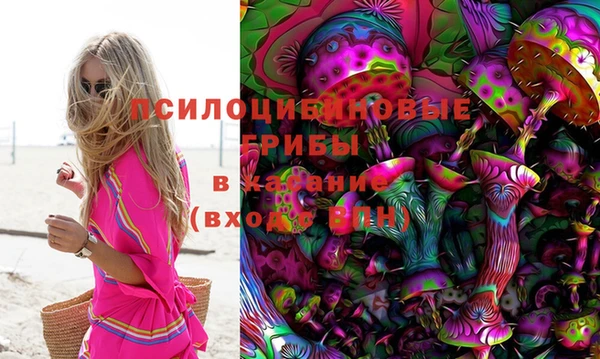 мяу мяу мука Балабаново